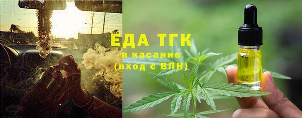 индика Волгодонск