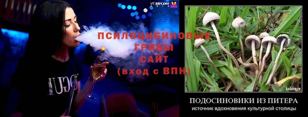 индика Волгодонск
