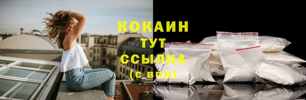 стаф Магадан