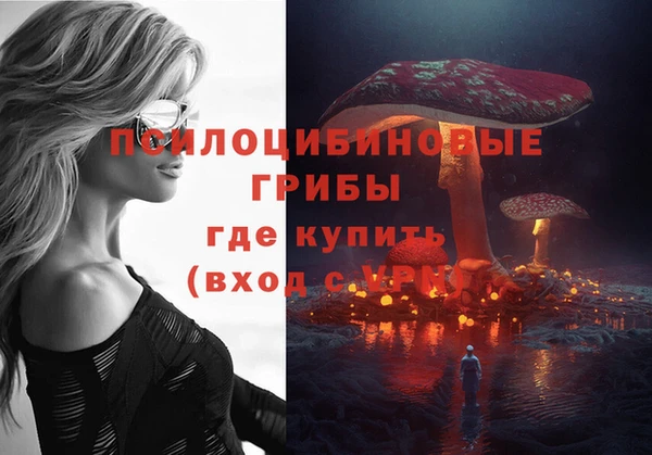 стаф Магадан