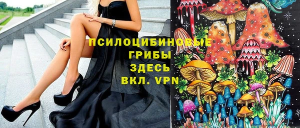 стаф Магадан